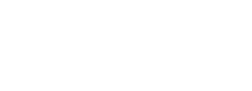 Snabb